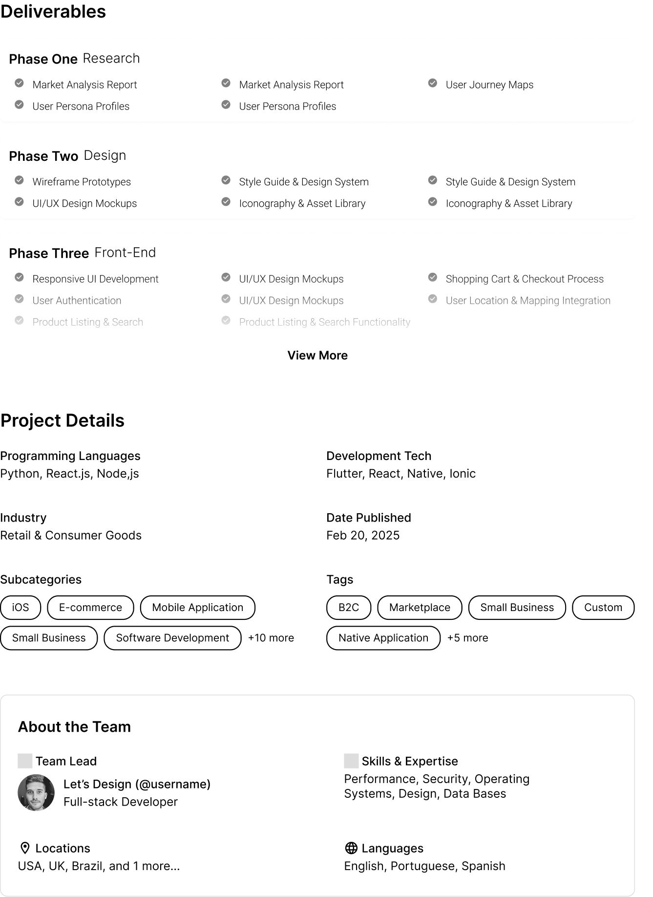 Final design: Project Details with deliverables, details, and team info